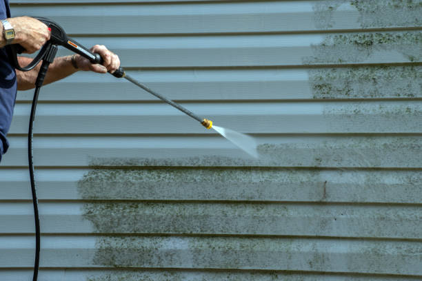 Animal Enclosure Cleaning in Alpena, MI