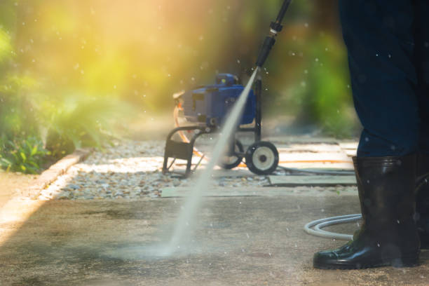 Best Fence Cleaning  in Alpena, MI